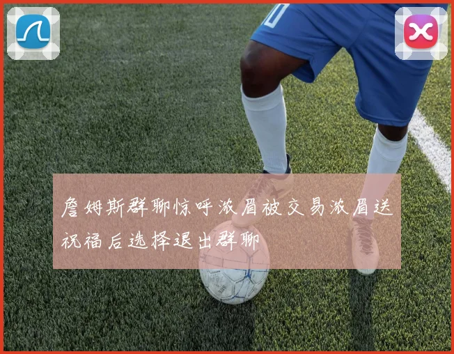 詹姆斯群聊惊呼浓眉被交易浓眉送祝福后选择退出群聊