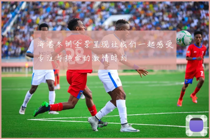 海港冬训全景呈现让我们一起感受专注与热血的激情时刻