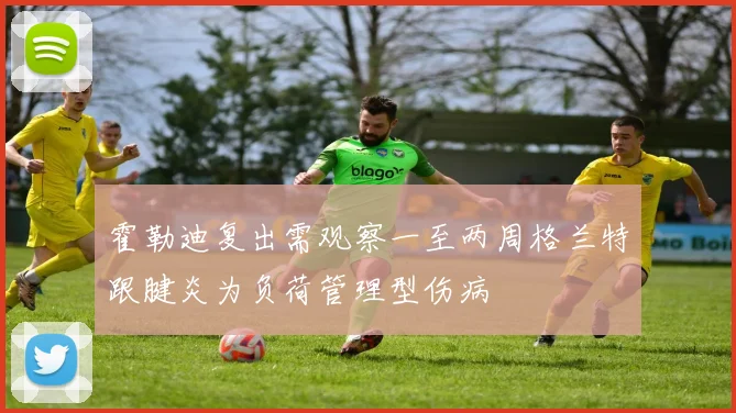 霍勒迪复出需观察一至两周格兰特跟腱炎为负荷管理型伤病