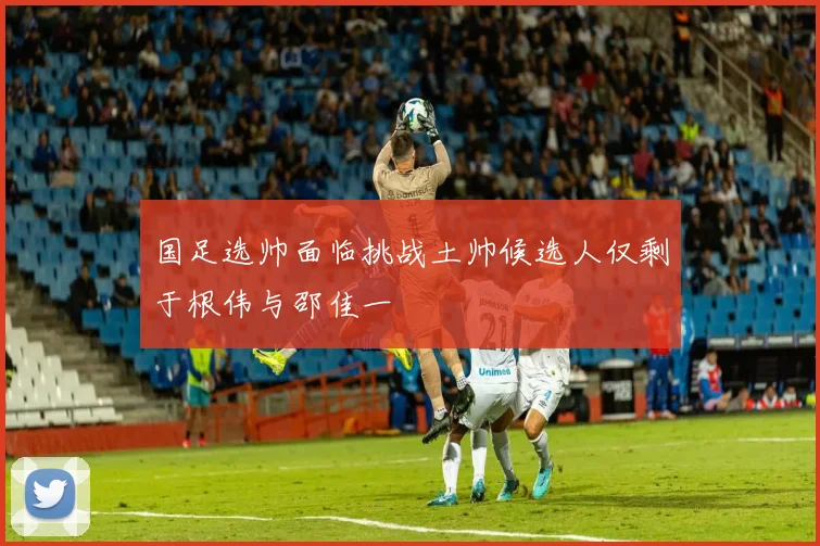 国足选帅面临挑战土帅候选人仅剩于根伟与邵佳一